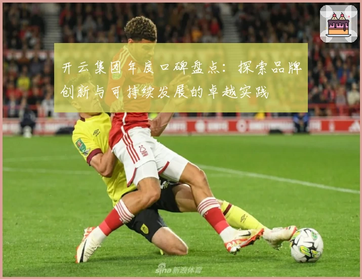 开云集团年度口碑盘点：探索品牌创新与可持续发展的卓越实践