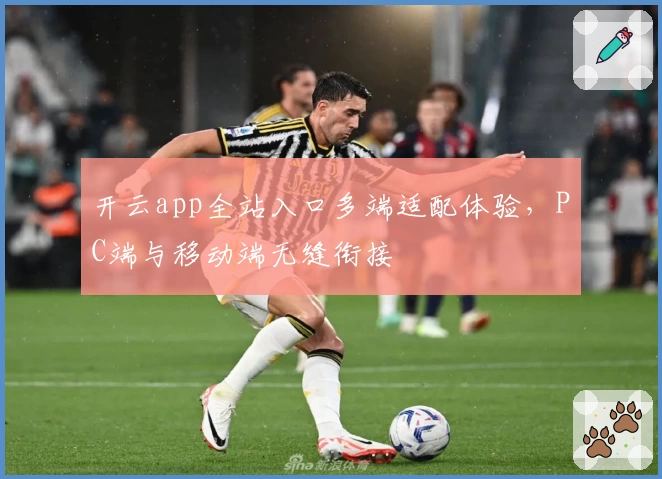 开云app全站入口多端适配体验，PC端与移动端无缝衔接